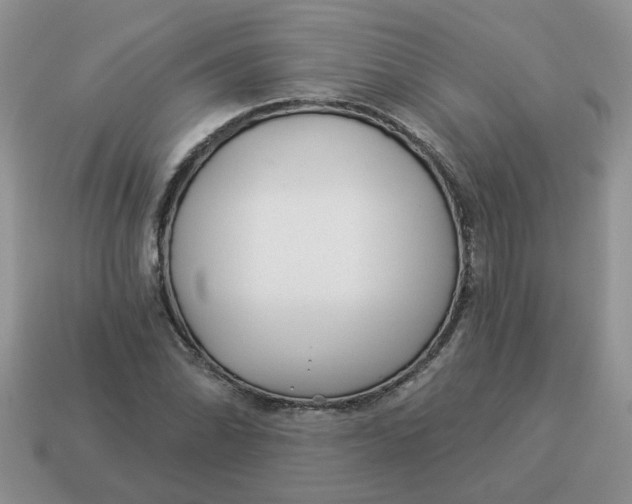 X0000114491070200911091044