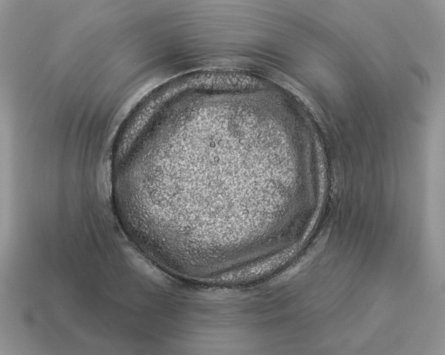 X0000114491075200911091043