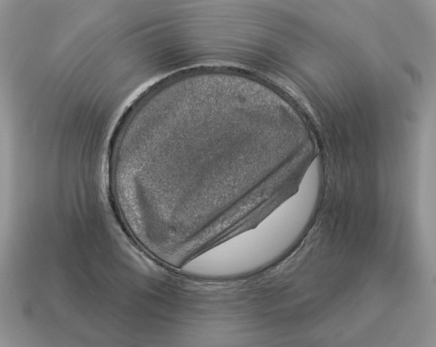 X0000114491076200911091043
