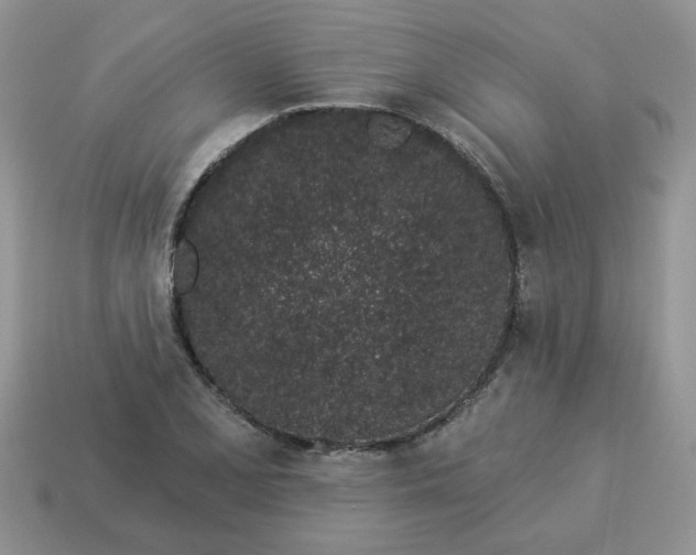 X0000114491077200911091043