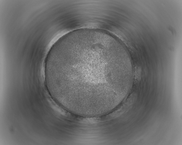 X0000114491078200911091043