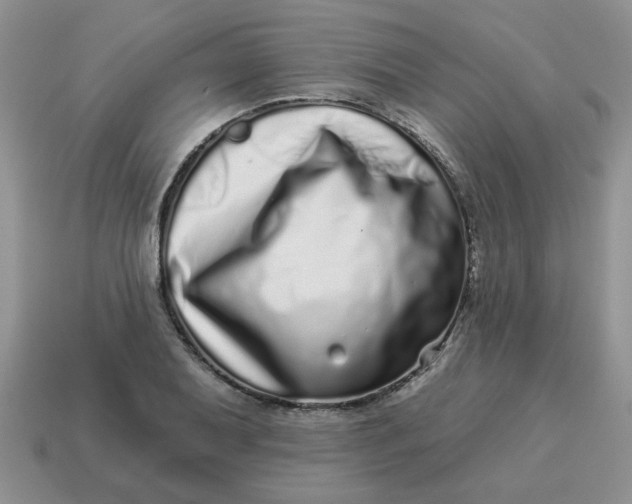 X0000114491079200911091043