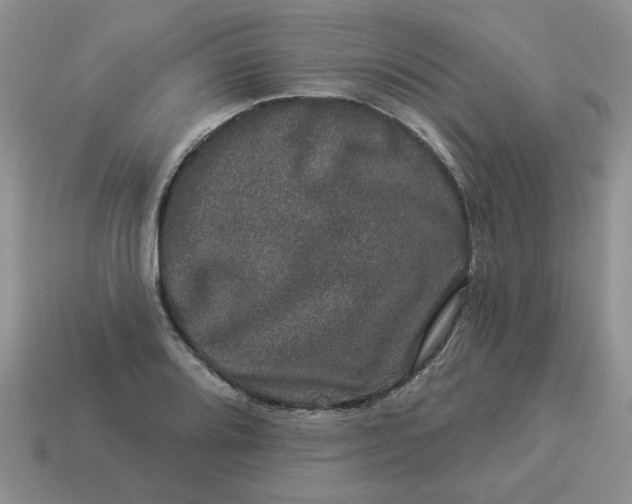 X0000114491080200911091043
