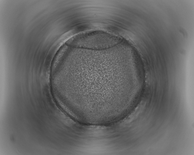 X0000114491081200911091043