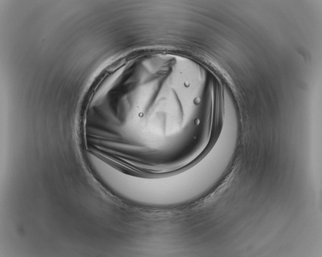 X0000114491085200911091043