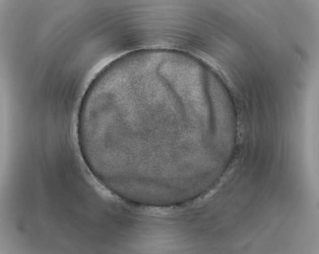 X0000114491086200911091043