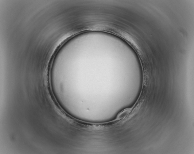 X0000114491087200911091043