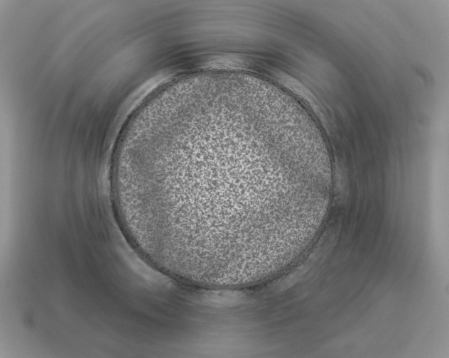 X0000114491090200911091043