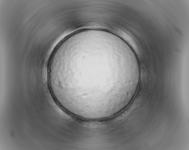 X0000114491092200911091043