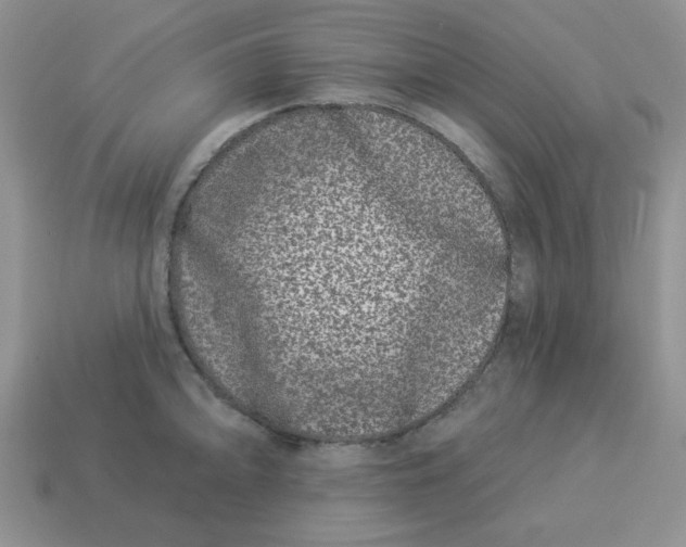 X0000114491094200911091043