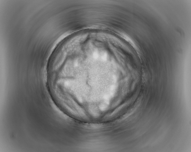 X0000114491095200911091043