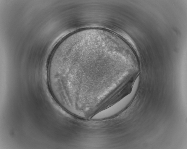 X0000114491096200911091043