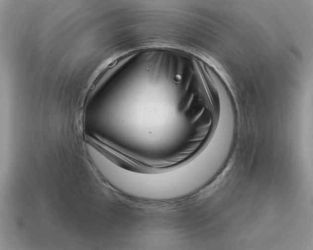 X0000114491097200911091043