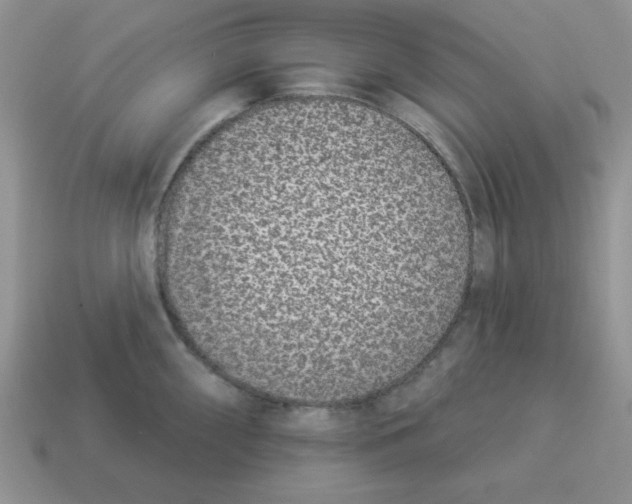 X0000114491098200911091043