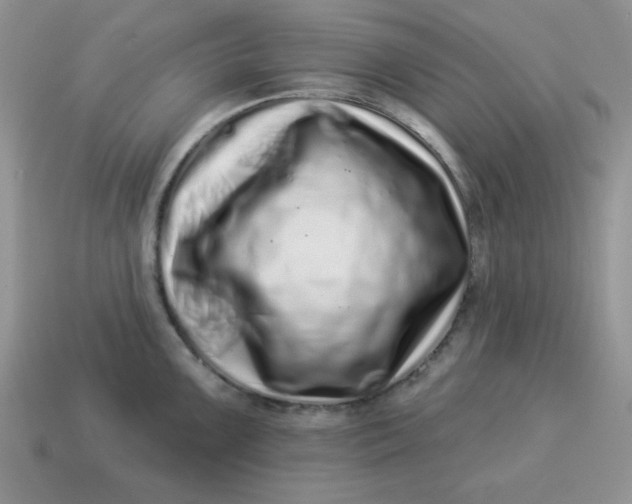 X0000114491099200911091043