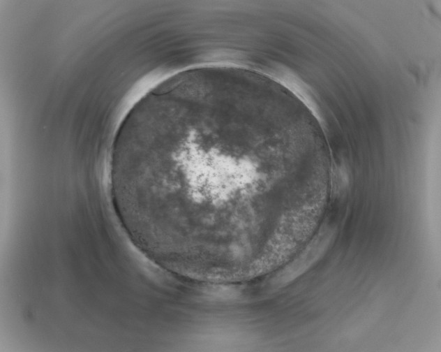 X0000114491101200911091043