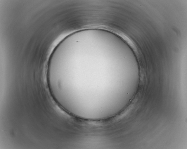 X0000114491102200911091043