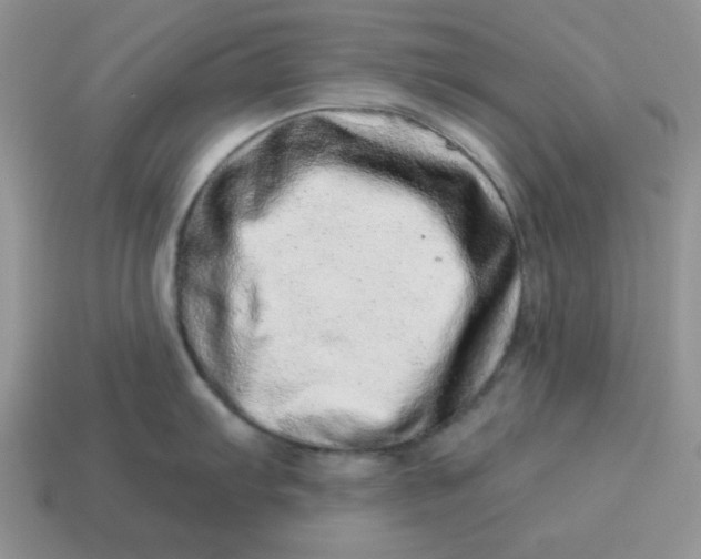 X0000114491103200911091043