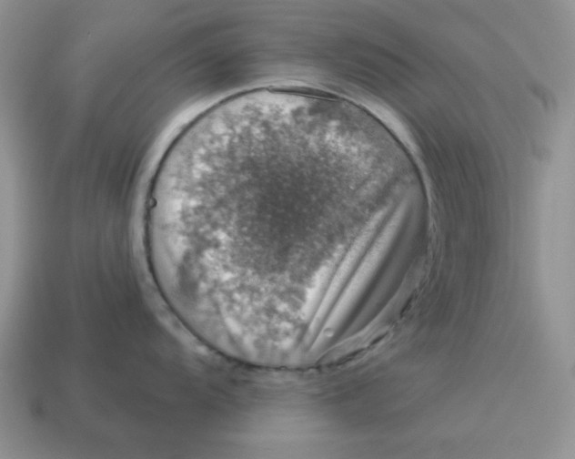 X0000114491104200911091043