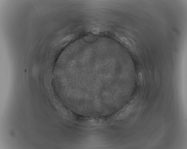 X0000114491105200911091042