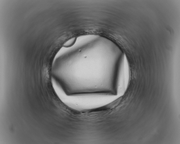 X0000114491106200911091042