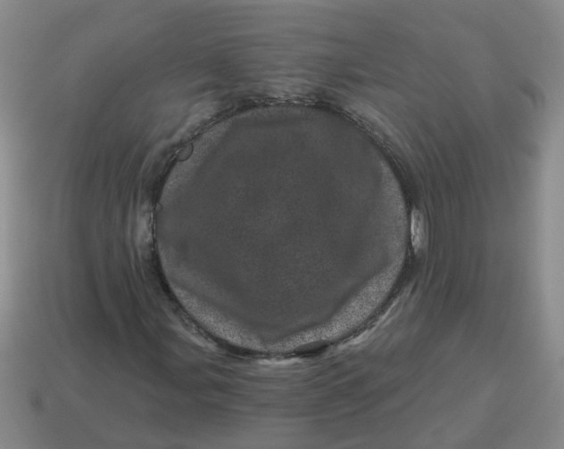 X0000114491107200911091042