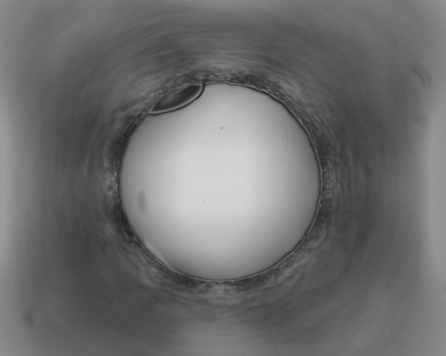 X0000114491109200911091042