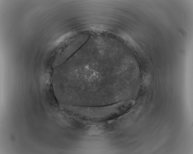X0000114491110200911091042
