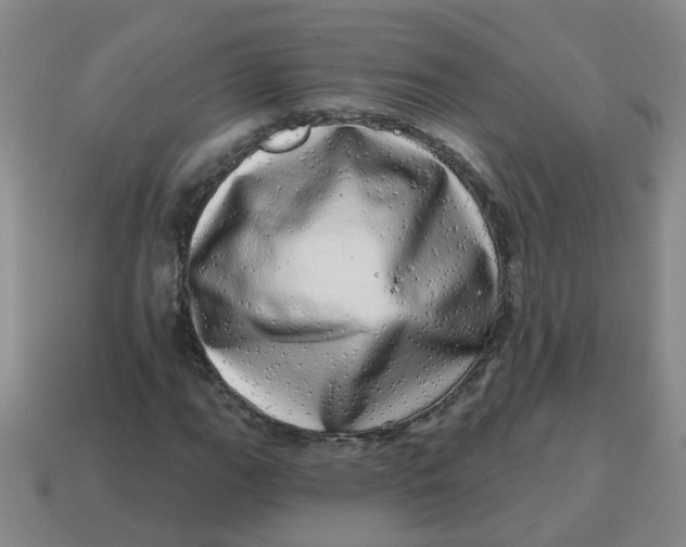 X0000114491111200911091042