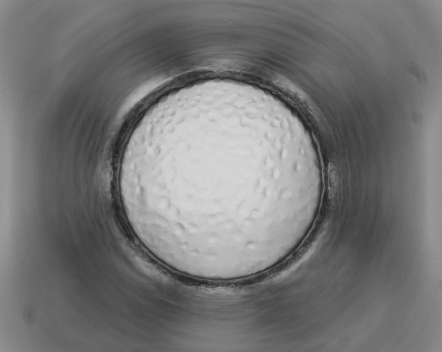 X0000114491114200911091042