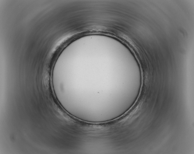 X0000114491115200911091042