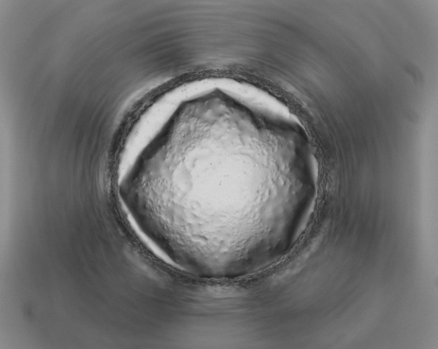 X0000114491117200911091042