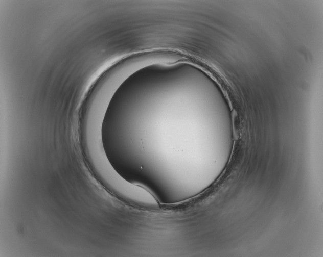 X0000114491118200911091042