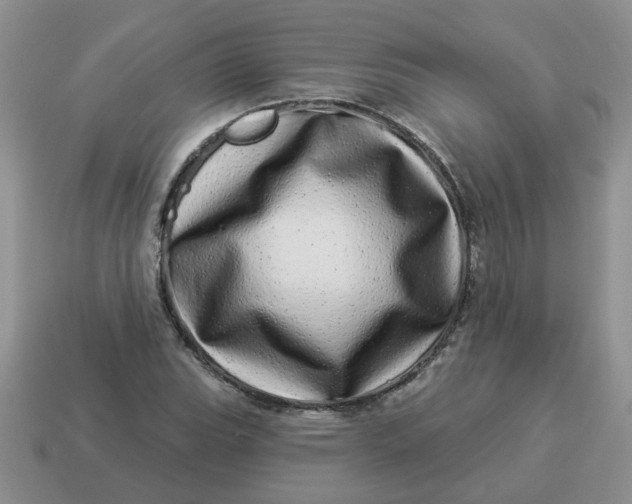 X0000114491119200911091042