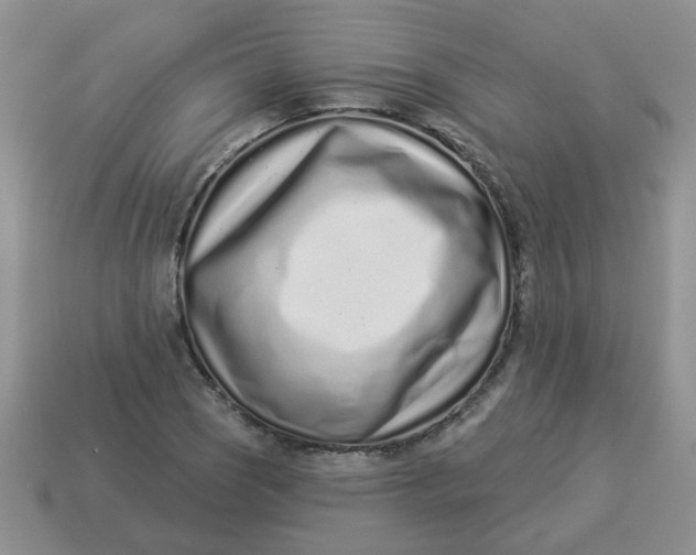 X0000114491121200911091042