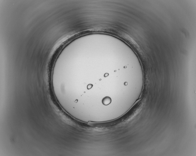 X0000114491122200911091043
