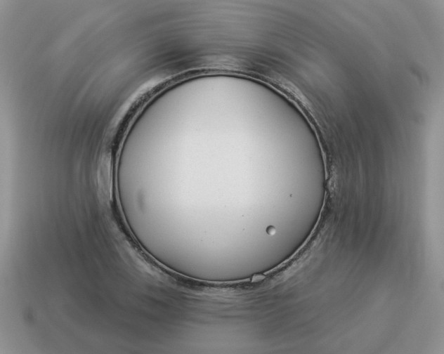X0000114491123200911091043