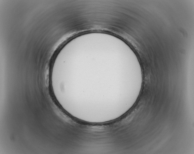 X0000114491126200911091043