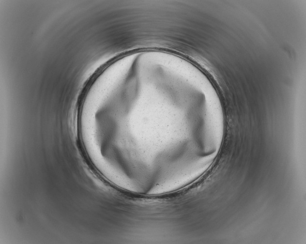 X0000114491127200911091043