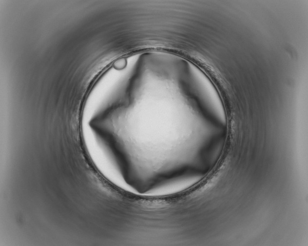X0000114491129200911091043