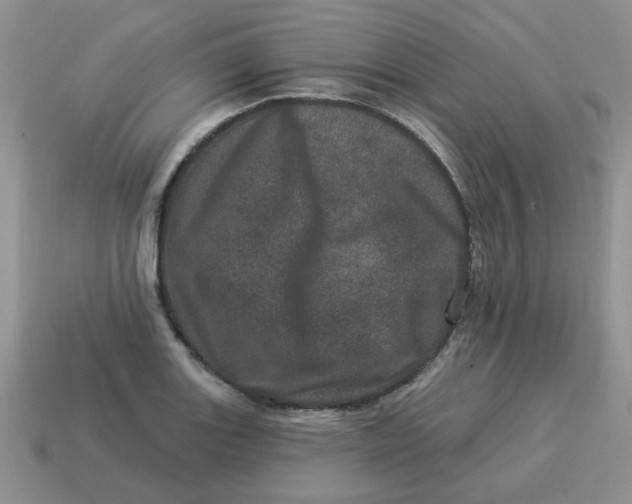 X0000114491131200911091043