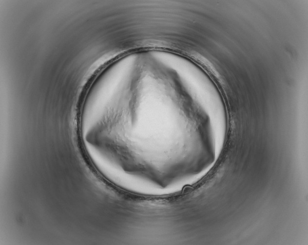 X0000114491133200911091043