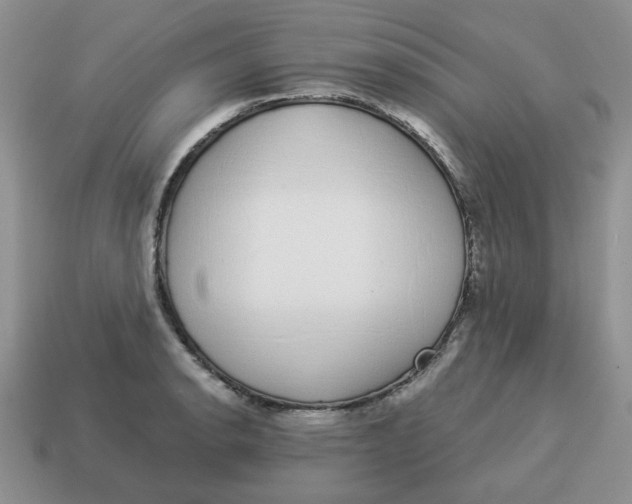 X0000114491134200911091043