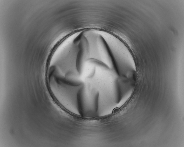 X0000114491135200911091043