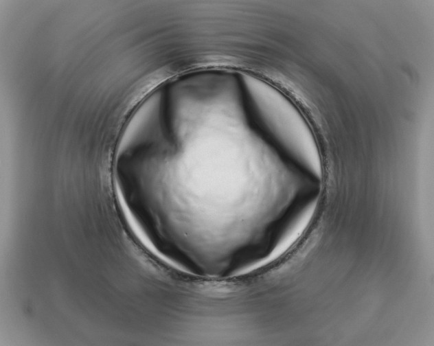X0000114491137200911091043