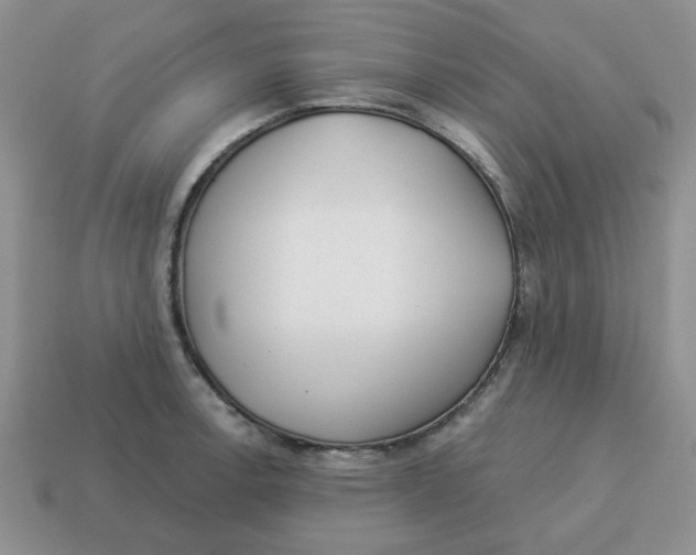 X0000114491138200911091043
