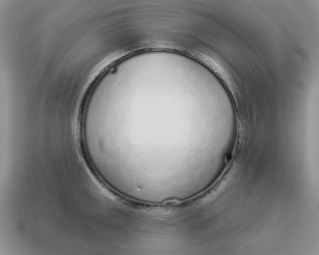 X0000114491141200911091043