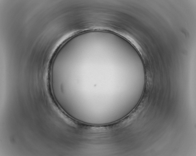 X0000114491142200911091043