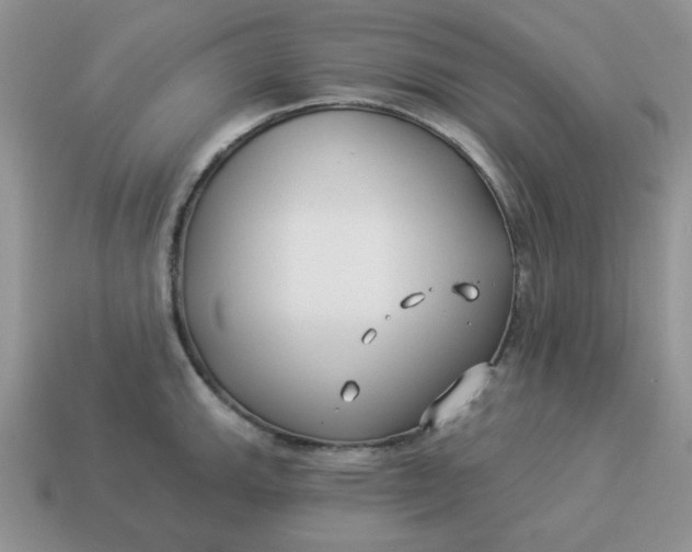 X0000114491143200911091043