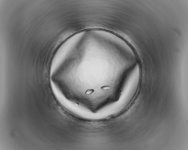 X0000114491145200911091043